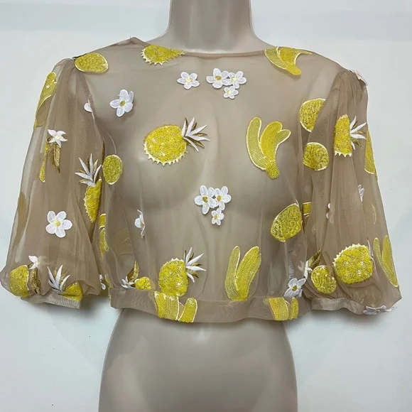 Topshop Sheer 3/4 Sleeve Embroidered Crop Top with Yellow Appliqué Size 2 - Picture 2 of 13